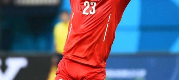 MKSPORTS-包含Rookie遭遇七连败，瑞士队教练面临压力！的词条